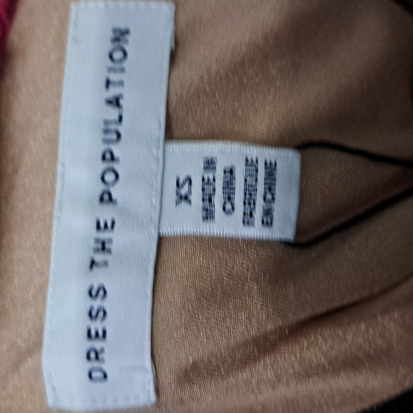 Dress The Population Elisa Playful Embroidered Midi Dress - Picture 9 of 10